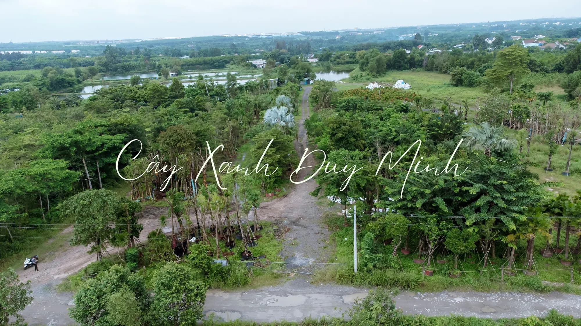 Kỷ niệm thành lập